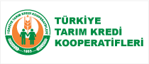 Promosyon çay tabakları