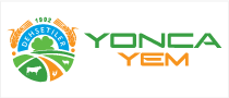 Promosyon çay tabakları